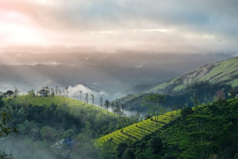 idukki overview-1